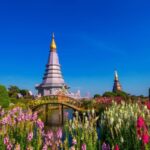 10 Aktivitas Seru di Thailand, Jangan Lupa Coba Pijat Khas Thailand