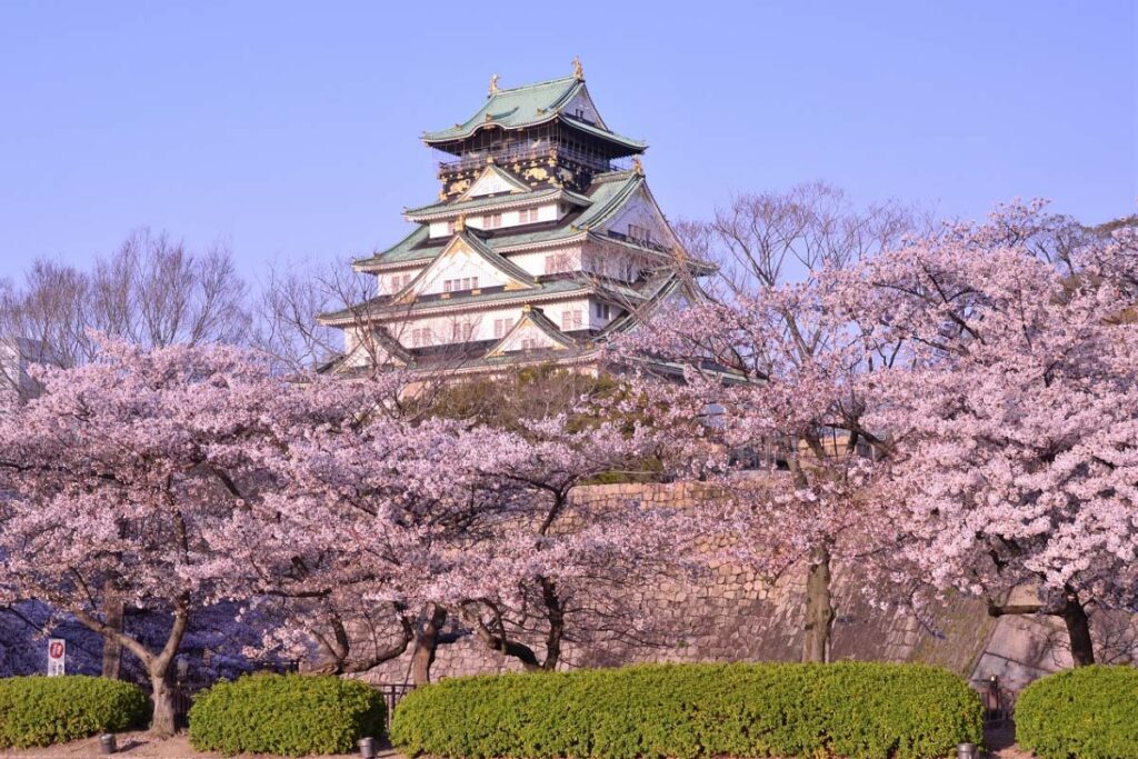 Tempat Terbaik untuk Melihat Bunga Sakura di Jepang