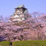 Tempat Terbaik untuk Melihat Bunga Sakura di Jepang