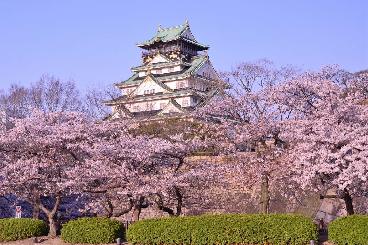 Tempat Terbaik untuk Melihat Bunga Sakura di Jepang