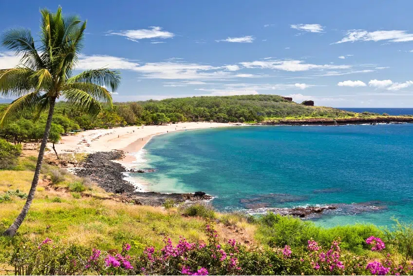 Temukan Lanai: Tempat Pelarian Selebritas Tersembunyi di Hawaii